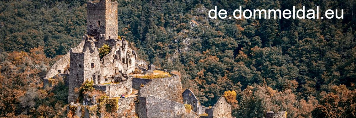 de.dommeldal.eu